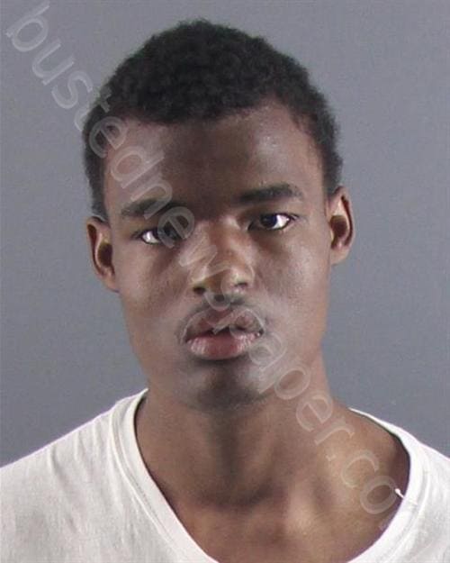 bustednewspapers Page 2(01)